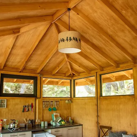 Cabana Chucao Conguillio Exterior photo