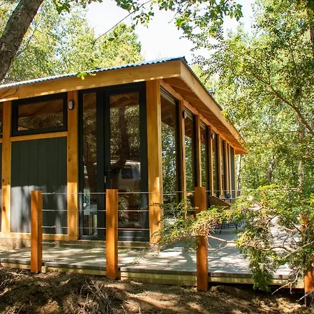 Cabana Chucao Conguillio Exterior photo