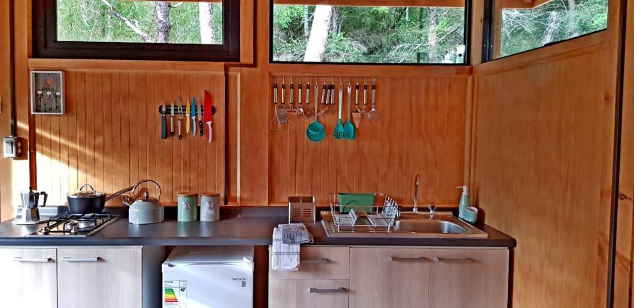 Chalet Chucao