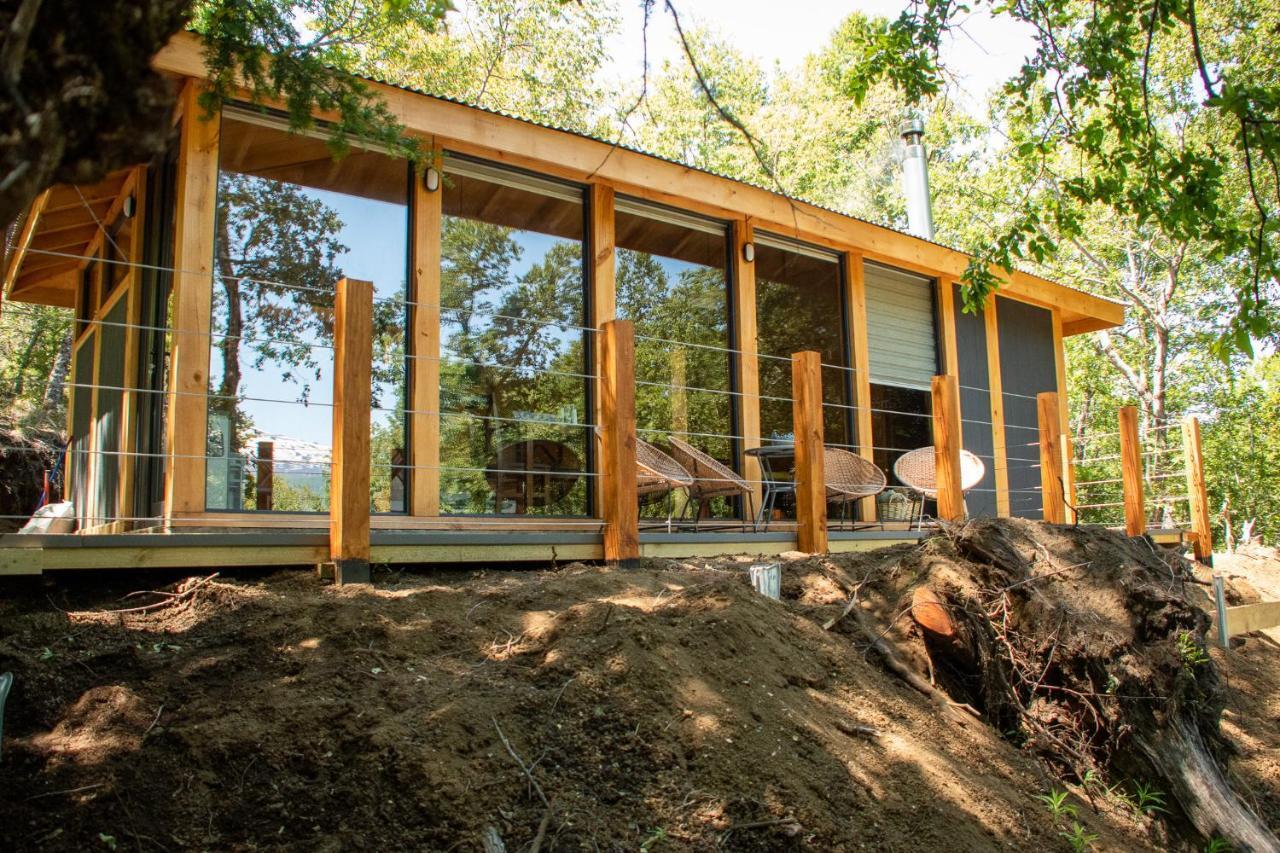 Chucao Chalet Conguillio
