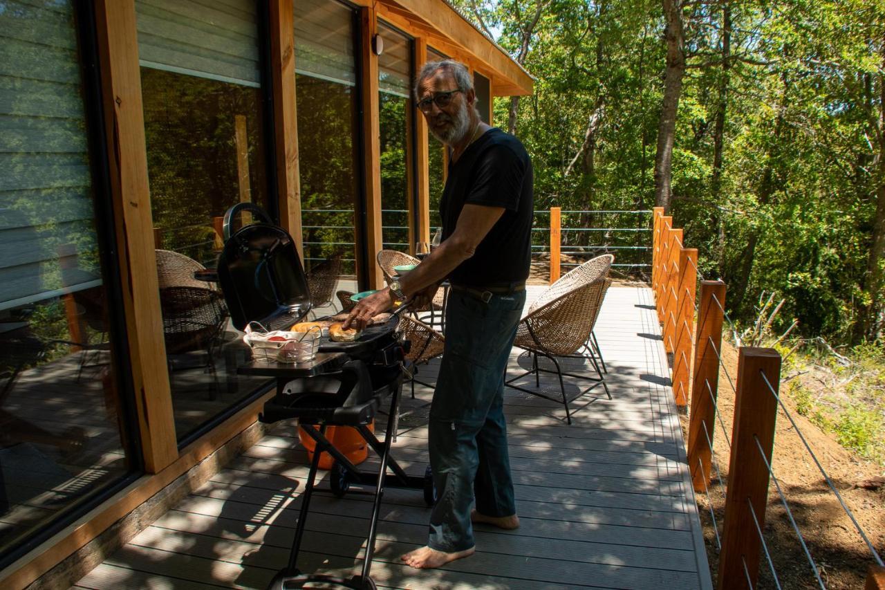 Chucao Chalet Conguillio